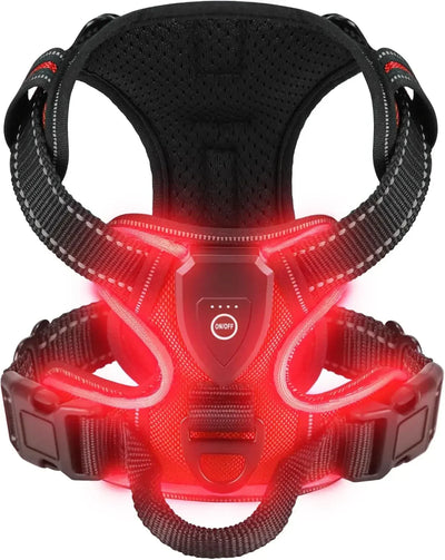 Harnais Lumineux LED Sans Traction Rechargeable Chien