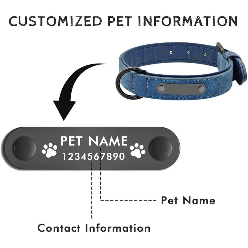 Collier Cuir Gravé Personnalisé Grand Chien