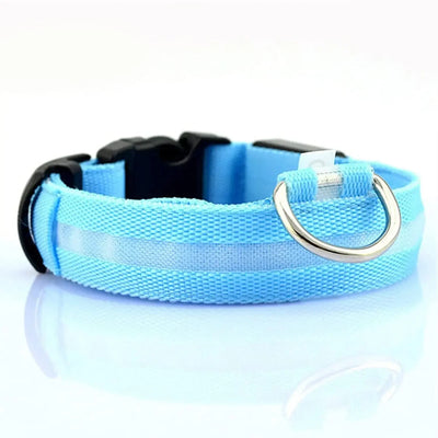 Collier LED Veilleuse Rechargeable pour Chien