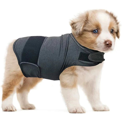Vêtement Apaisant Anti-Anxiété Respirant Chien Orage 40 kg