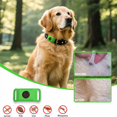 https://cdn.shopify.com/s/files/1/0489/2898/1148/files/Sac0f2bdb320b41699834f09e5c17a2ebP.webp?v=1773311703