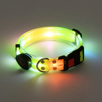 Collier et Laisse LED Lumineux pour Chien