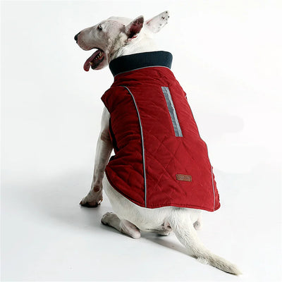 Manteau Hiver Réfléchissant Bull Terrier Six Coloris XS-3XL
