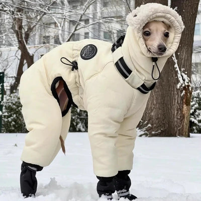 Manteau Chien Doudoune Combinaison Capuche Sherpa Lévrier