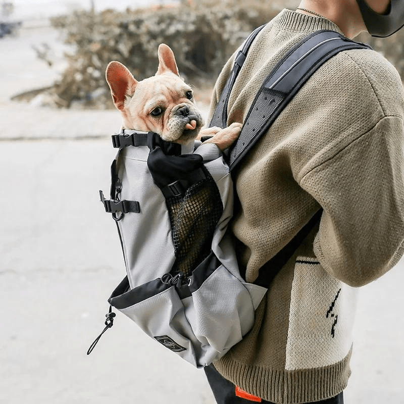 https://cdn.shopify.com/s/files/1/0763/9767/4819/files/Sac_a_dos_chien_avec_rangements_bouledogue.png?v=1748436276