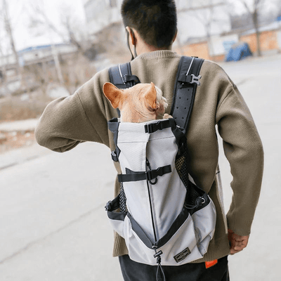 https://cdn.shopify.com/s/files/1/0763/9767/4819/files/Sac_a_dos_chien_avec_rangements_rue.png?v=1748436276