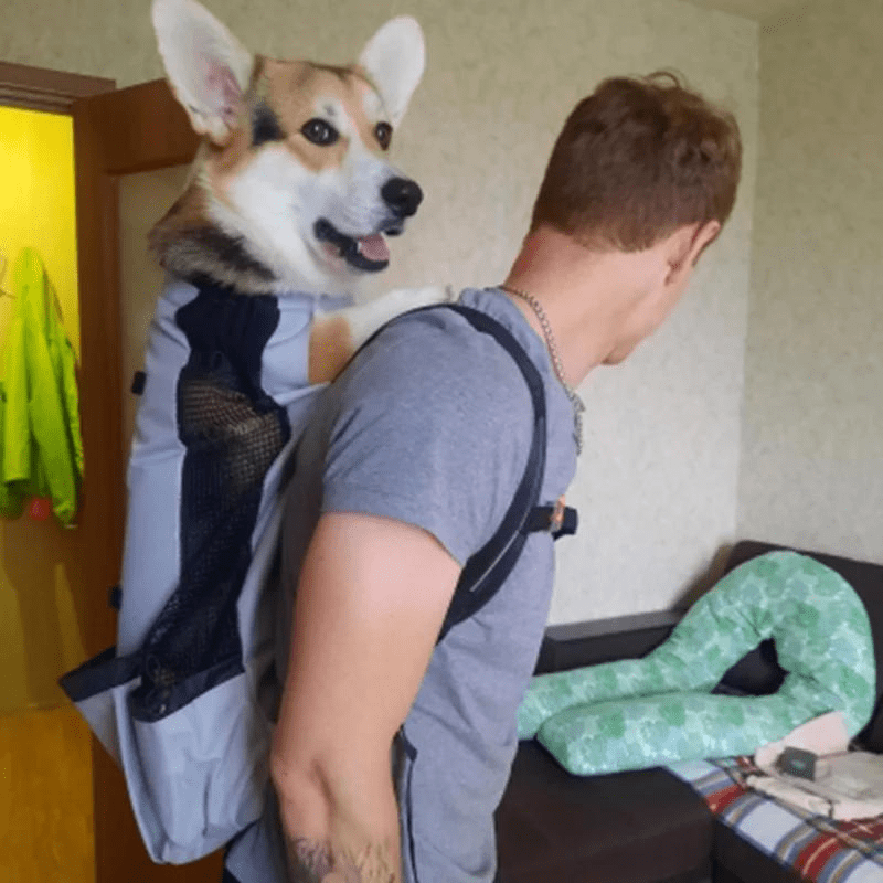 https://cdn.shopify.com/s/files/1/0763/9767/4819/files/Sac_a_dos_chien_moto_corgie.png?v=1757085965