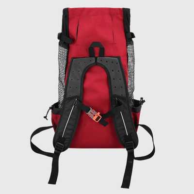 https://cdn.shopify.com/s/files/1/0763/9767/4819/files/Sac_a_dos_chien_moto_derriere.png?v=1757085965