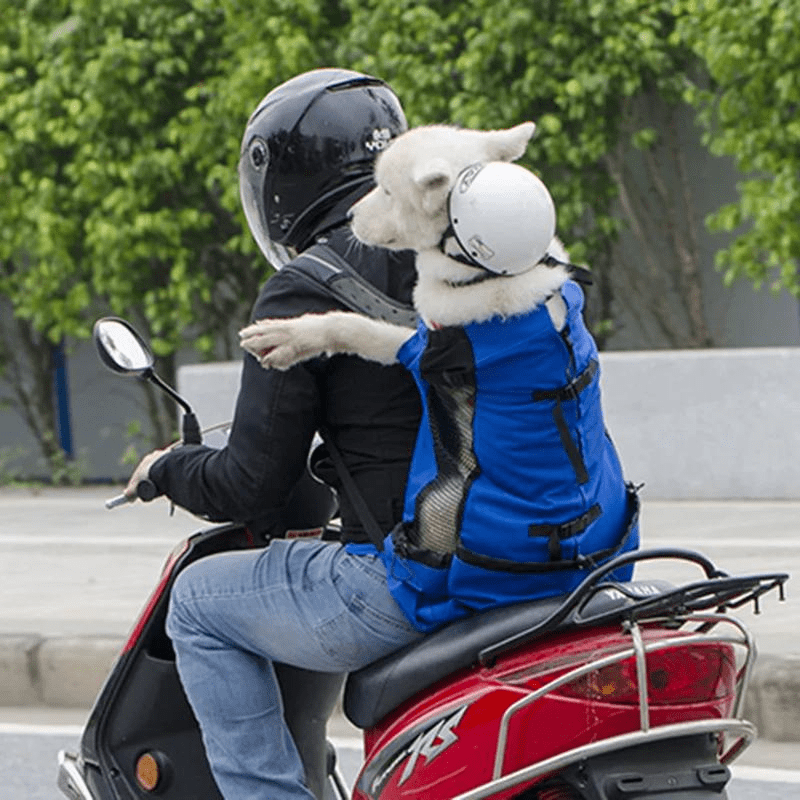 https://cdn.shopify.com/s/files/1/0763/9767/4819/files/Sac_dos_chien_moto.png?v=1757085965