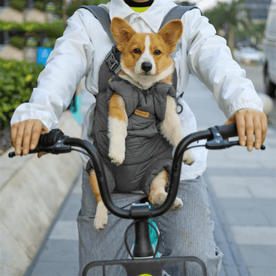 https://cdn.shopify.com/s/files/1/0763/9767/4819/files/Sac_a_dos_harnais_chien_velo.png?v=1748436757