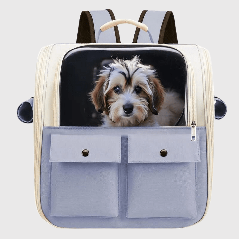 https://cdn.shopify.com/s/files/1/0763/9767/4819/files/Sac_a_dos_pour_chien_colore_caniche.png?v=1748437953