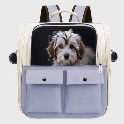 https://cdn.shopify.com/s/files/1/0763/9767/4819/files/Sac_a_dos_pour_chien_colore_caniche.png?v=1748437953