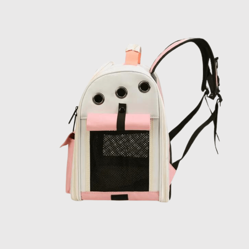 https://cdn.shopify.com/s/files/1/0763/9767/4819/files/Sac_a_dos_pour_chien_colore_cote.png?v=1748437953