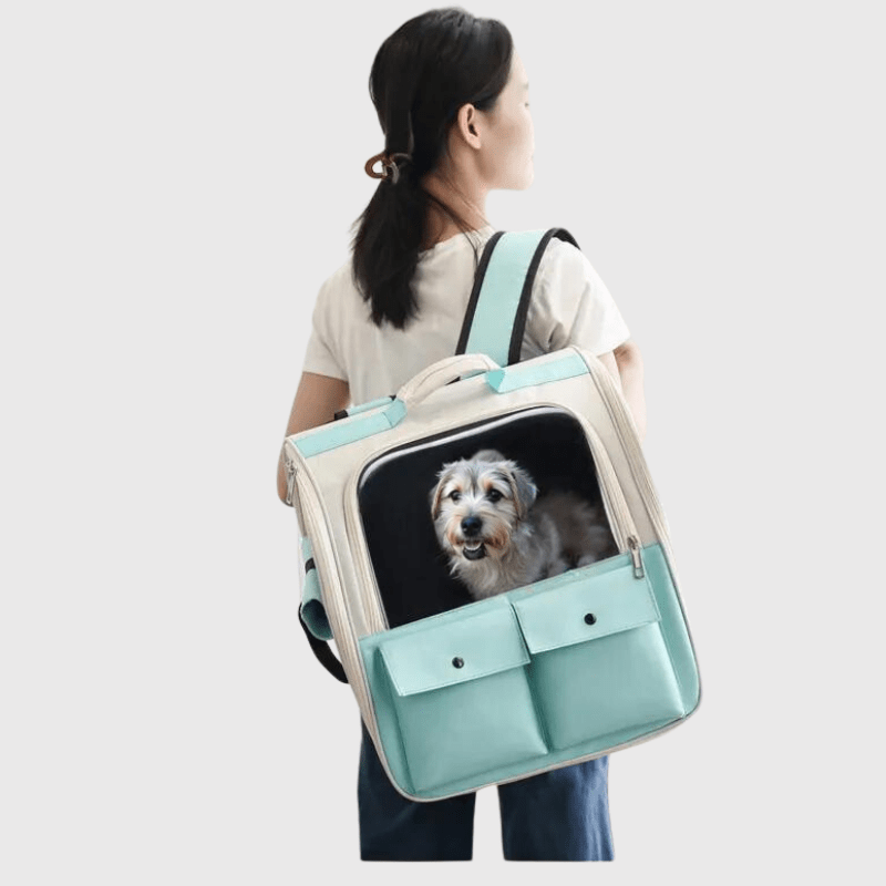 https://cdn.shopify.com/s/files/1/0763/9767/4819/files/Sac_a_dos_pour_chien_colore_femme.png?v=1748437947