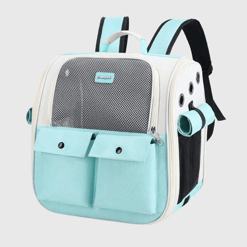 https://cdn.shopify.com/s/files/1/0763/9767/4819/files/Sac_a_dos_pour_chien_colore_vert_bleu.png?v=1748437947