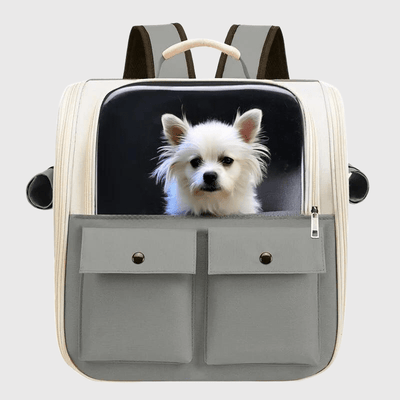 https://cdn.shopify.com/s/files/1/0763/9767/4819/files/Sac_a_dos_pour_chien_colore_yorkshire.png?v=1748437947
