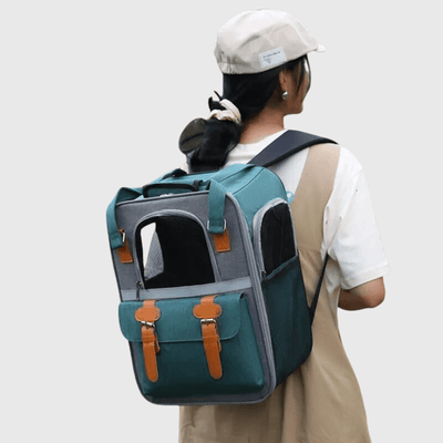 https://cdn.shopify.com/s/files/1/0763/9767/4819/files/Sac_a_dos_pour_petit_chien_vert.png?v=1748439198