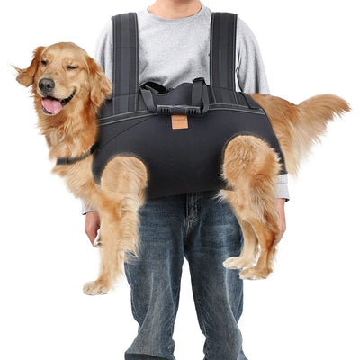 Sac a dos transport chien