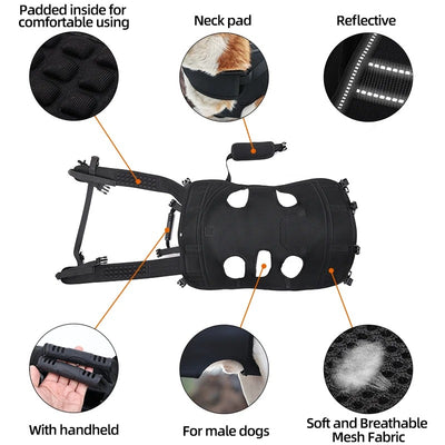 Sac a dos transport chien