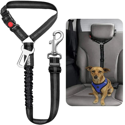 https://cdn.shopify.com/s/files/1/0489/2898/1148/files/Saca261d6369a4dbc99bdc9fb0b1d866av.webp?v=1742978366