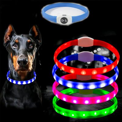 Collier LED Étanche USB pour Chien