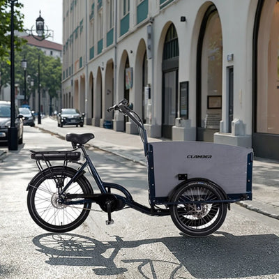 Remorque Électrique Vélo Grand Chien 36V 250W