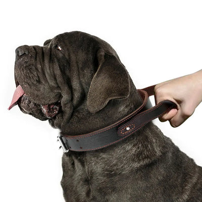 Collier Cuir Véritable à Poignée pour Gros Chien