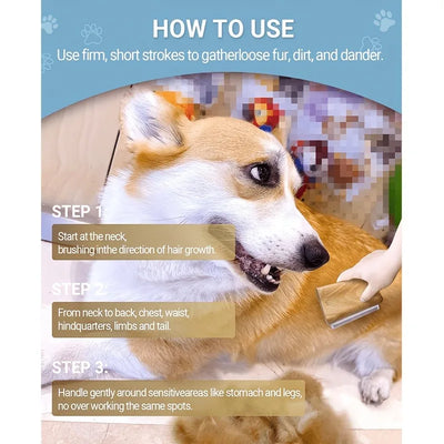 Brosse Anti-Perte de Poils pour Chien Petit et Grand Format