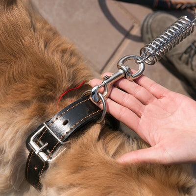 Collier Laisse Cuir Tressé Gros Chien