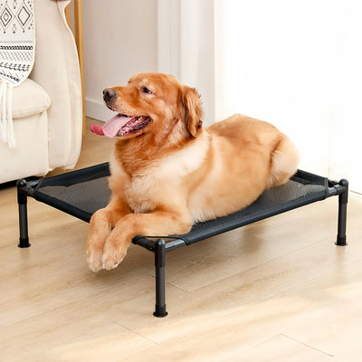 Lit Surélevé pour Chien Toile Respirante 4 Motifs 3 Tailles