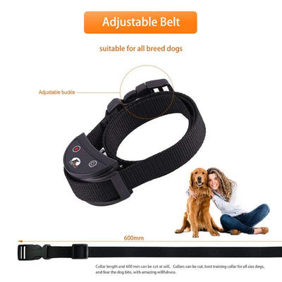 Collier Dressage 500yd Gros Chien Antichoc Étanche