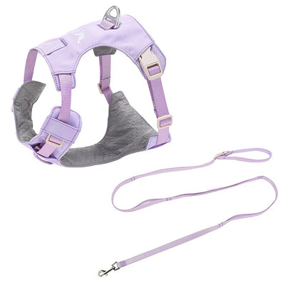 Ensemble Harnais et Laisse Assortis Anti-Traction Chien