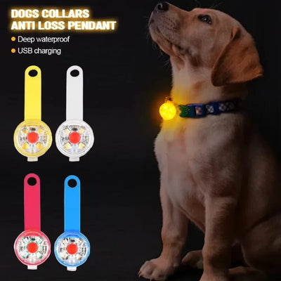 Collier LED Rechargeable Étanche pour Chien