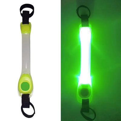 Collier Lumineux Étanche Anti-Perte pour Chien