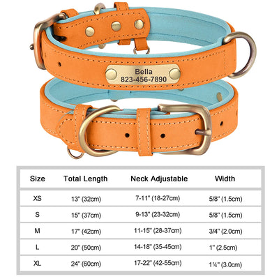 Medaille Collier Cuir Gravee Personnalise Chien