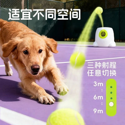 Lanceur de Balle Automatique Chien Mini Rechargeable USB-C