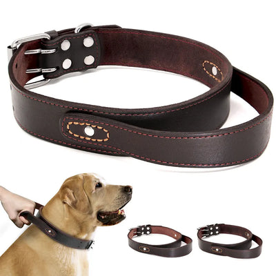 Collier Cuir Véritable à Poignée pour Gros Chien