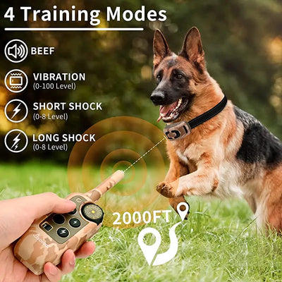 Collier Dressage Télécommande Gros Chien Étanche
