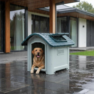 Niche Chien en Plastique Extérieur Toit Bleu Ventilée