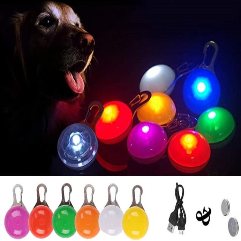 https://cdn.shopify.com/s/files/1/0763/9767/4819/files/Lampe_Led_pour_collier_de_chien_de_nuit.png?v=1745314411