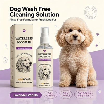 Shampoing Sec Spray pour Chien Lavande Vanille 100 ml