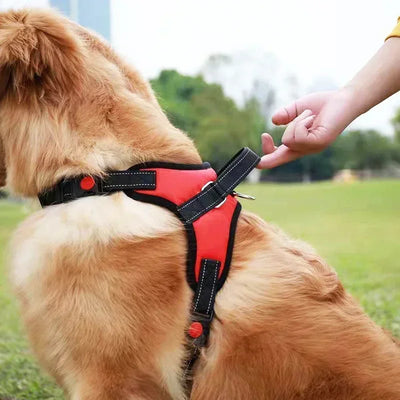 Harnais Chien Réfléchissant à Poignée et Boucle Sécurisée Gabarit Moyen