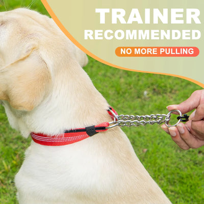 Collier Anti-Traction Réfléchissant Support AirTag pour Chien