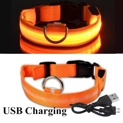 Collier Lumineux LED USB pour Chien