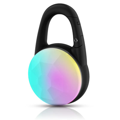 Lumière LED Rechargeable pour Collier de Chien