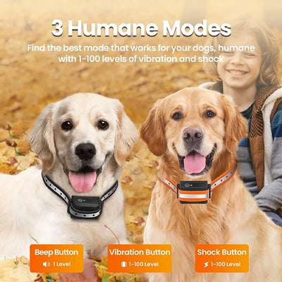 Collier Électrique de Dressage 2 Chiens Télécommande 1000 m