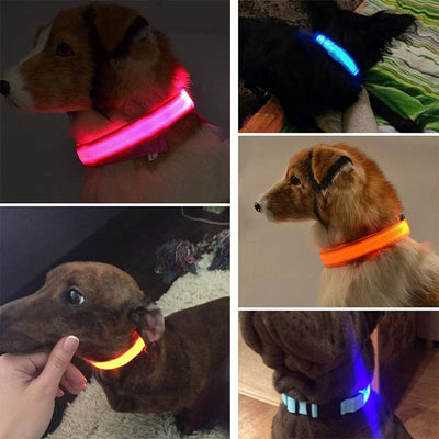 Collier LED Veilleuse Rechargeable pour Chien