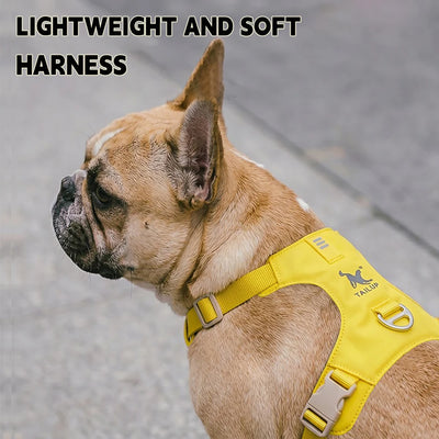 Ensemble Harnais et Laisse Assortis Anti-Traction Chien