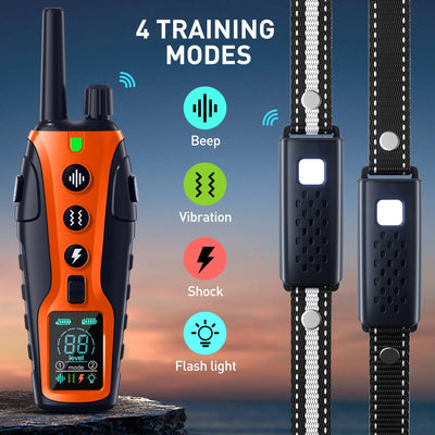 Collier Dressage 1000m 2 Chiens Lampe LED