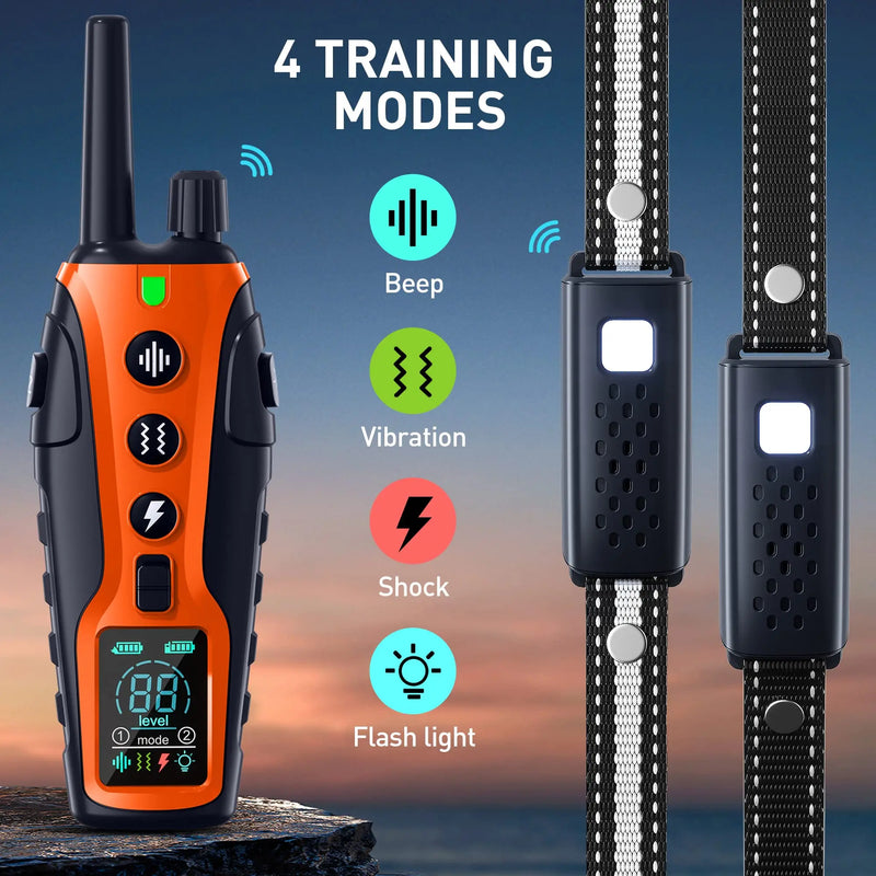 Collier Dressage 1000m 2 Chiens Lampe LED